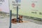 Portugal, Lisbon 29 april 2018: security dog or guide-dog sits on street