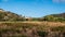 Portugal - Meadow in the country