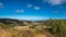 Portugal - Meadow in the country