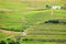 Portugal vineyard landscape