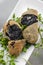 Portuguese black ink cuttlefish fried croquettes snack food