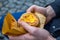 Portuguese Dessert Egg Tart (Pasteis de Nata) in Man\'s Hand, Close-up