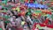 Portuguese fans during video translation of the football match Portugal - France final of the European championship 2016