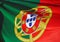 Portuguese Flag