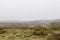 Portuguese landscape in the rainy season in the southwest of the country, in the Algarve region. An equatorial green landscape.