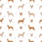 Portuguese Podengo Medio seamless pattern. Different poses, coat colors set