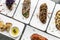 Portuguese tiborna toasted open sandwich tapas snacks on table