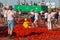 Portuguese Tomato Throwing Festival in SantarÃ©m