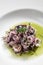 Portuguese traditional fresh seafood marinated squid salad in coriander oil