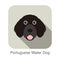 Portuguese water dog face portrait flat icon design, vector illustration