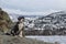 Portuguese Water Dog sitting on a rock in winter