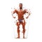 Posing bodybuilder, low polygonal isolated vector illustration. Front view. Geometric man with big muscles