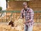 Positive african american man farmer feeds cows with hay