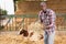 Positive african american man farmer feeds cows with hay