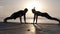 Positive athletic couple high fives while exercising outside in front the sea. Cheerful man and fit woman clap while