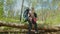 Positive backpacker couple overcoming obstacle in forest on adventure trek