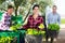 Positive farmers sorting and stacking green pepper