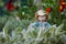 Positive garden stuffed in lettuce