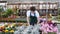 Positive interested young guy, professional florist, working in flower department of hypermarket, checking bush of