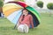 Positive mood in autumn rainy weather. Little girl under colorful umbrella. Rainbow after rain. Multicolored umbrella