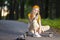 Positive Relaxing Caucasian Teenager In Casual Clothing Chatting on Cellphone While Sitting On Longboard in Green Summer Forest