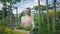 Positive woman botanist holding a box of flowers and showing it into the camera