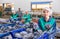 Positive woman filling crates with red cabbage in vegetable factory