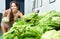 Positive woman shopping fresh green lettuce