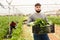 Positive worker stocks boxes with chard