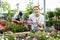 Positive young woman checking potted Osteospermum Ecklonis flower while buying plants for house in glasshouse