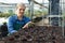 Positive young woman gardener seeding peppermint seedlings in pot at greenhouse