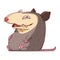 A Possum, isolated vector illustration. Funny cartoon picture for children of laughing opossum sitting. A humorous possum sticker