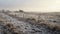 Post-apocalyptic British Landscape: Frosty Field, White Church, And Ruined Fence