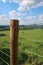 Post and barbed wire fence along pasture land on the Sussex Southdowns in England.