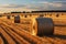 Post harvest beauty Golden hay bales adorn the vast agricultural field
