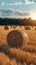 Post harvest beauty Golden hay bales adorn the vast agricultural field