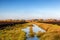 Post mining land at a peat excavation site in Northwestern Germany