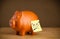 Post-it note with smiley face sticked on piggy bank