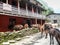 Post office and mules in Dharapani, Nepal