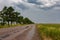 Post-rain asphault road, fields, and cloudy skies