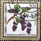 Post stamp shows black currant