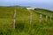 Post and wire fence leading along a field to a chalk cliff in the distance