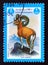 Postage stamp Afghanistan 1984, Argali or Mountain Sheep, Ovis ammon