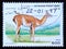 Postage stamp Afghanistan 1997, Guanaco, Lama guanicoe