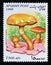 Postage stamp Afghanistan 1998. Greville`s bolete Suillus elegans mushroom
