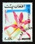 Postage stamp Afghanistan, 1999. Laelia autumnalis orchid flower