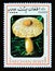 Postage stamp Afghanistan 1999. Reddening lepiota Leucocoprinus bresadolae mushroom