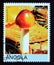 Postage stamp Angola, 2000. Autumn mushroom