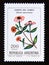 Postage stamp Argentina, 1982. Chinita del campo Zinnia peruviana flower