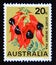 Postage stamp Australia, 1968. Sturt`s Desert Pea Swainsona formosa South Australia flower